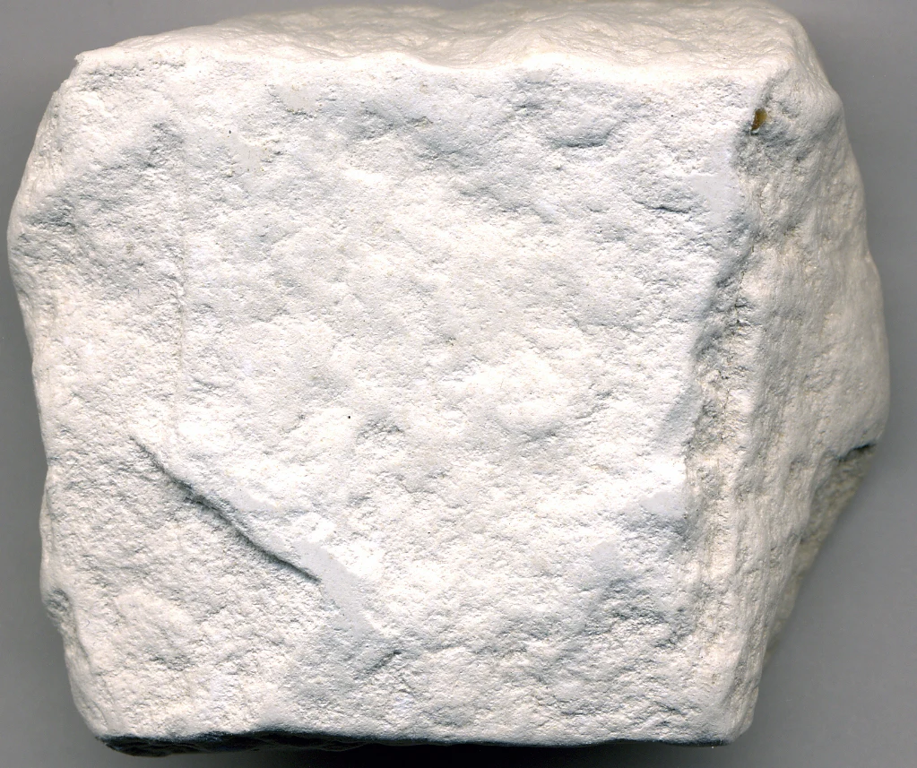 Diatomite (Monterey Formation, Miocene; diatomite quarry just south of Lompoc, C