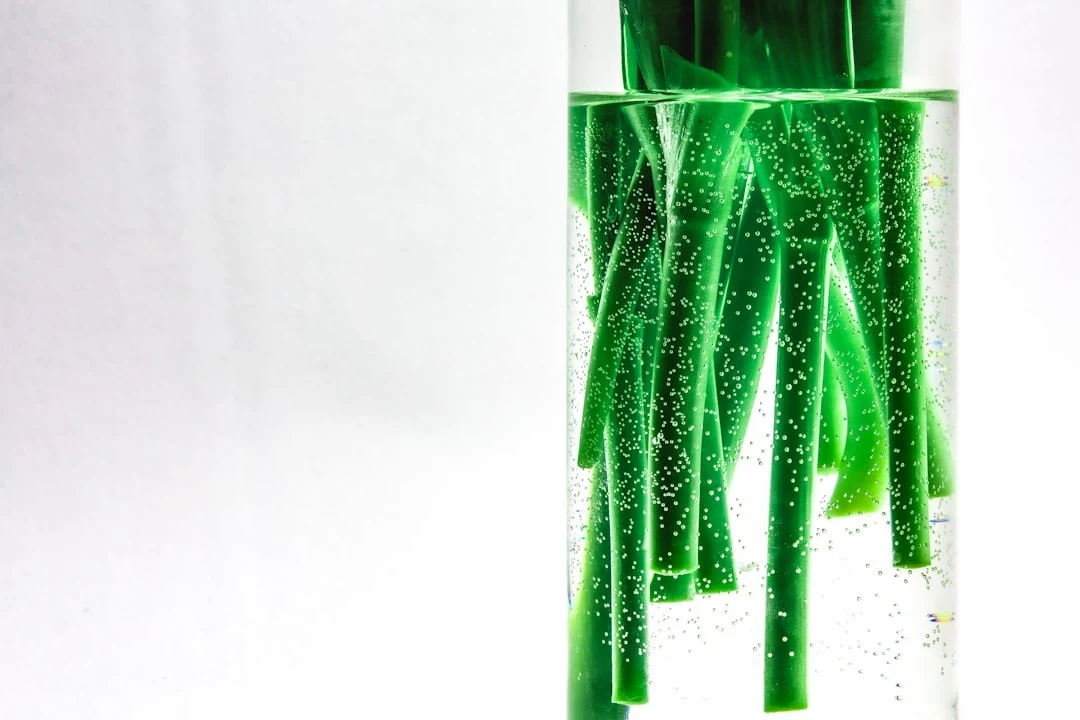 미세조류 배양에 사용되는 다양한 탄소원(대기 CO2, 순수 CO2, 산업 배기가스, 탄산수소염)을 나타내는 인포그래픽.