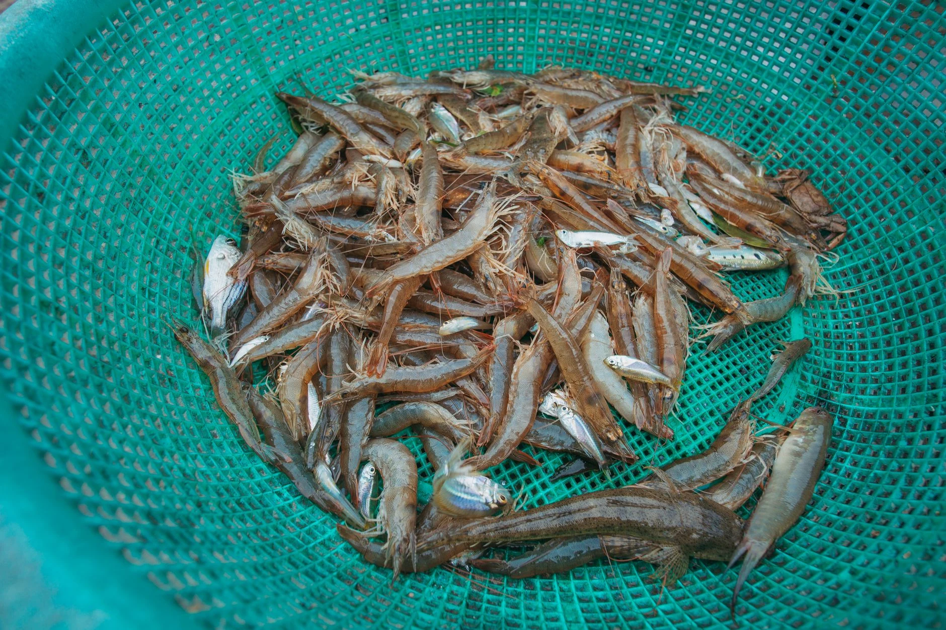 본문 대표 이미지