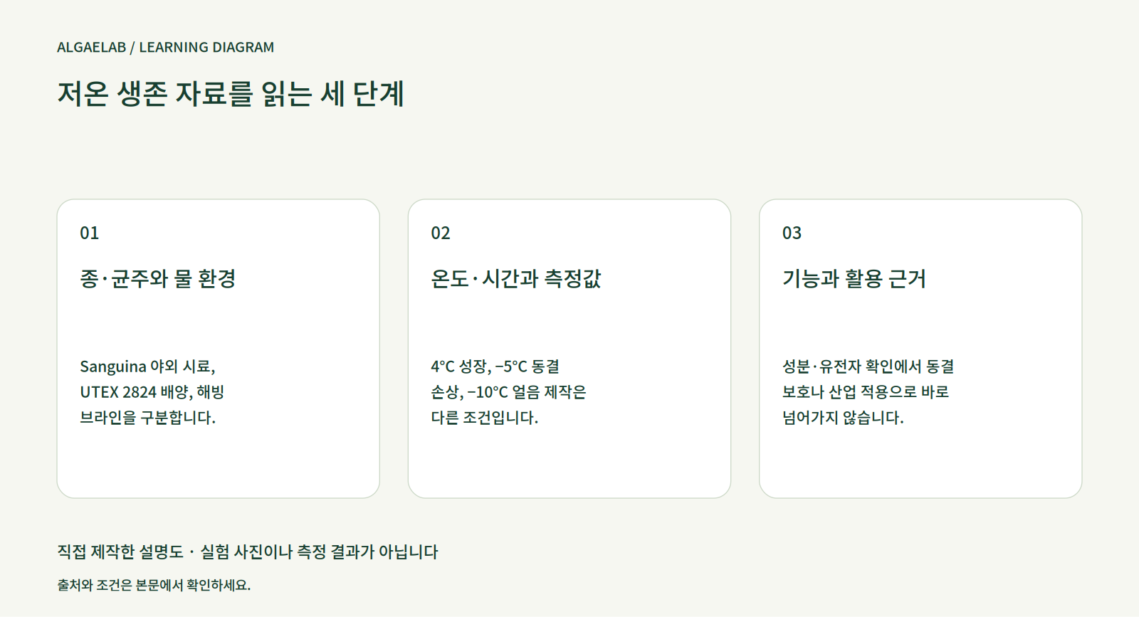 극지 미세조류는 얼음 속 어디에서 살까