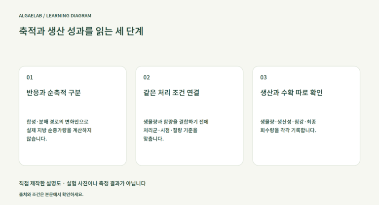 축적과 생산 성과를 읽는 세 단계