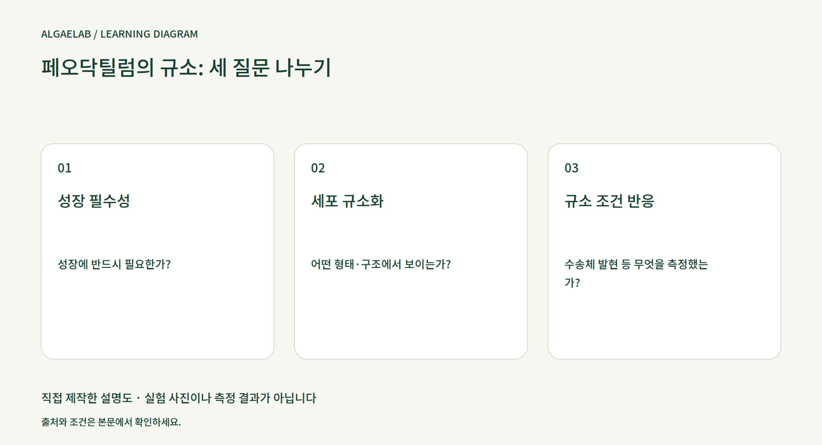 페오닥틸럼과 규소: 성장 필수성·규소화·조건 반응 구분하기