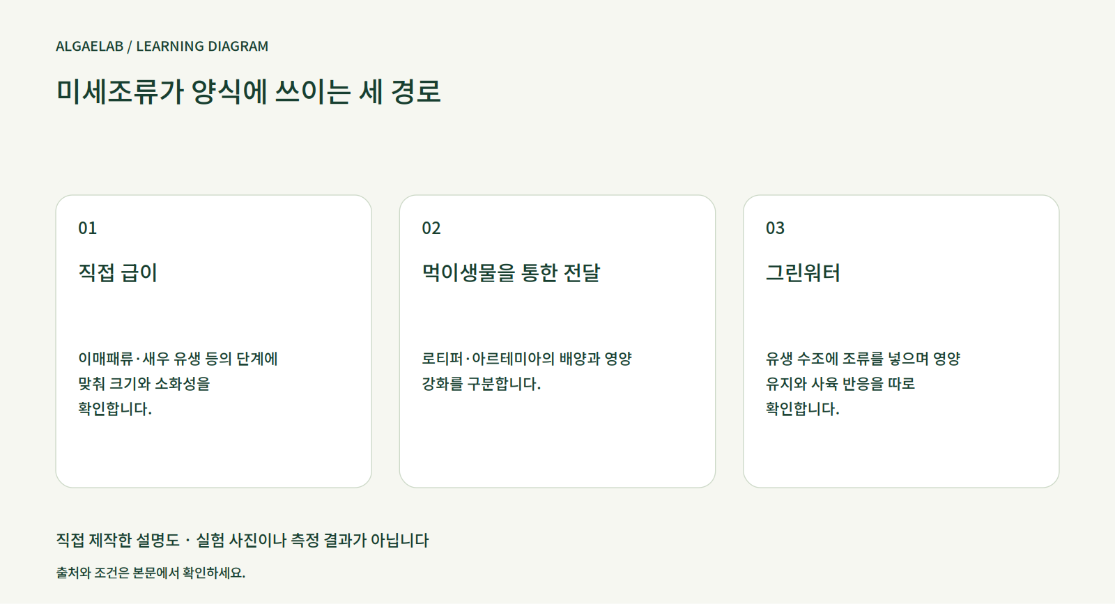양식 먹이로 쓰는 미세조류: 직접 급이와 간접 활용
