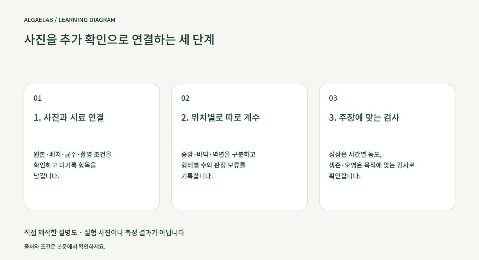 페오닥틸럼 배양 사진과 세포 형태를 읽는 방법