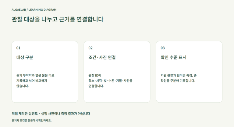 관찰 대상을 나누고 근거를 연결합니다