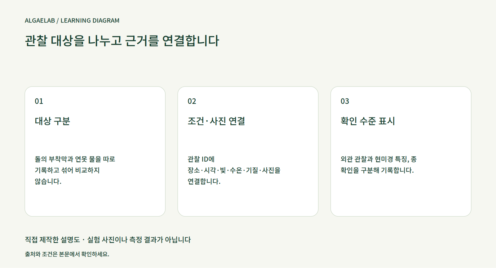관찰 대상을 나누고 근거를 연결합니다